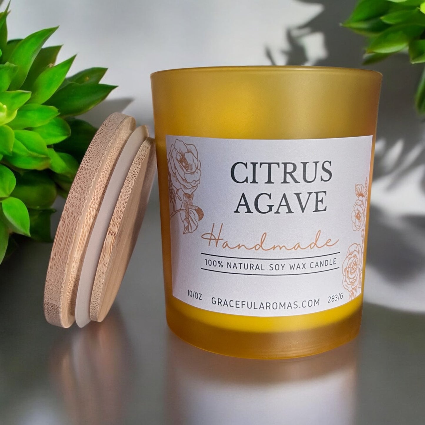 Citrus Agave 10oz Candle
