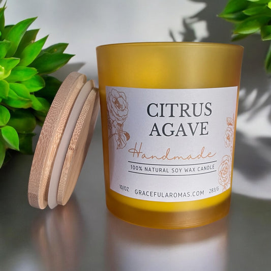 Citrus Agave 10oz Candle